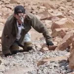 Man Sets Record For Pushing Peanut Up Mountain Using His Nose 3