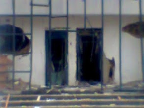 Armed robbers raid four banks in Ikare-Ondo State, Using Dynamite To Blow Them Open. 39