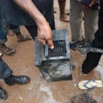 Dana Airplane Black Box Found. 2