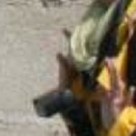 Prince William and Kate Middleton to file criminal complaint against the Photographer who snapped kate topless 5