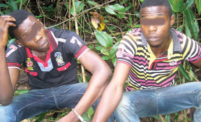 Students Kidnap Female Colleague, Assault, Kill And Bury Her In A Forest 1