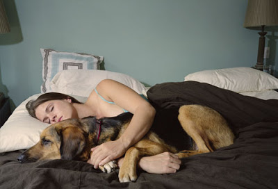 Woman Arrested For Sleeping With Dogs 1