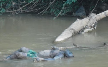 See The Photos Of The 40 Bodies Dumped In Anambra River 3