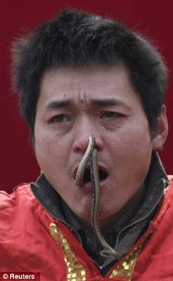 PHOTOS From Chinese Year Of The SNAKE Festival 2