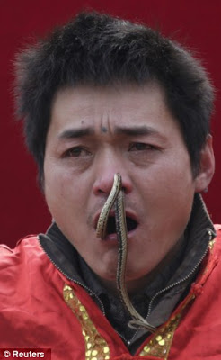 PHOTOS From Chinese Year Of The SNAKE Festival 6