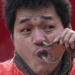 PHOTOS From Chinese Year Of The SNAKE Festival 5