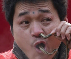 PHOTOS From Chinese Year Of The SNAKE Festival 8