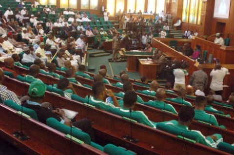 PHOTO: House of Reps Hold Special Plenary Session For Victorious Super Eagles 1