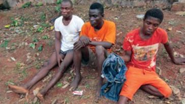 How robbers raped woman in her husband's presence 1
