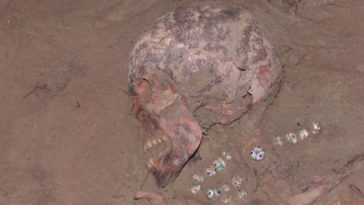 Ancient Egyptian jewellery plucked from burial mound of Siberian 'virgin princess 1