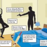 Cartoon Shows How Oscar Pistorius Might Have Killed His Girlfriend 15