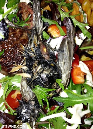 HORROR: Couple Find Dead Bird While Eating Salad They Bought From TESCO 11
