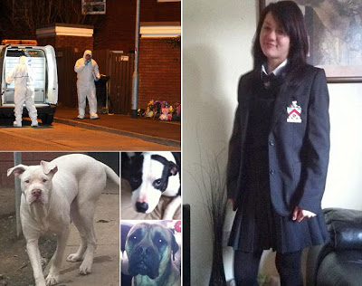 14 Year Old Girl mauled to death by four snarling dogs as she ate a meat pie 13