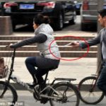 See How This Thief Used A Chopstick And Stole A Woman's Phone 2