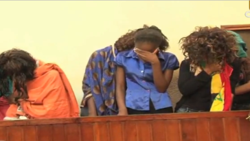 12 Arrested For Shooting An Adult Movie With A Dog In Kenya 1