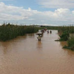 Flood Alert! 500 Benue Communities’ Risks Flood As Cameroun Opens Dam Again 3