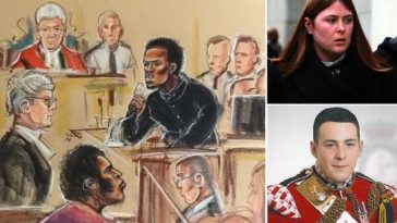 'After I struck the neck, I used another knife to try and remove the head': - Read What Nigerian ''Woolwich 'murderer' Michael Adebolajo Told Court 1