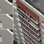 Caught on camera: Terrifying moment baby crawled along eighth-floor window ledge in India 17