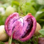 Scientists develop PURPLE tomatoes that will have multiple health benefits; Would You Buy? 10