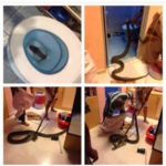 PHOTO: This Is Why You Should Never Use The Toilet Without Light 3