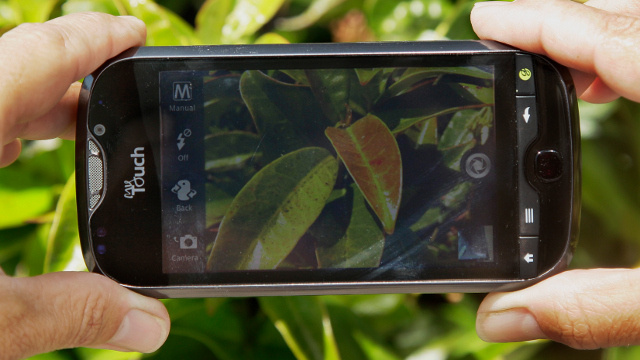 5 Men Rape 18 Year Old Girl, Records A Video Of It And Uploads It On The Internet 9