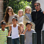 Angelina Jolie Reportedly Pregnant Through IVF and Expecting Her 7th Child 7