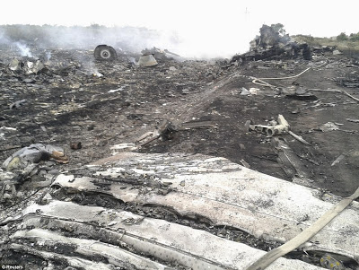 PICTURES From The Crash Scene Of Malaysian Flight MH17 That Was Shot Down In South Ukraine 5