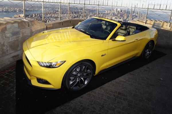 Drunken Driver Who Stole A Mustang Get's His Worst Nightmare As Car Stops In Front Of Police Headquarters 10