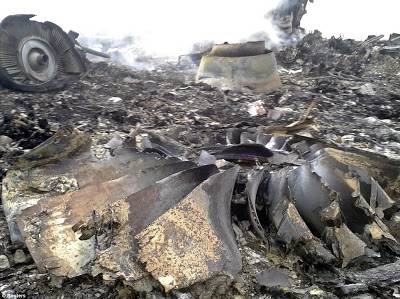 PICTURES From The Crash Scene Of Malaysian Flight MH17 That Was Shot Down In South Ukraine 9