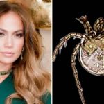 New Puerto Rican Water Mite Specie Named After Jennifer Lopez 14