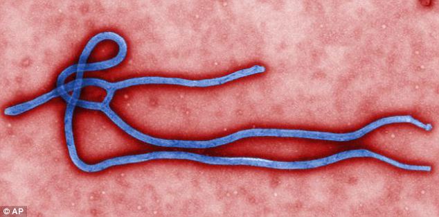 British woman tested for Ebola after collapsing and dying after journey from Nigeria to Austria 3