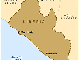 Liberia issues ‘shoot on sight’ order on Sierra Leonean immigrants 6