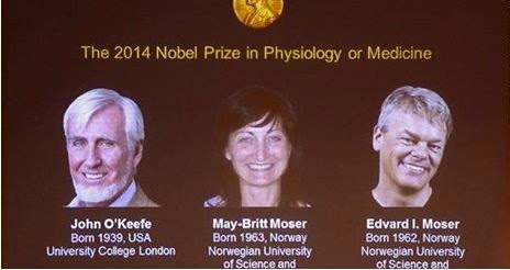 The 2014 Noble Prize in Medicine Given To 3 Neuroscientists 2