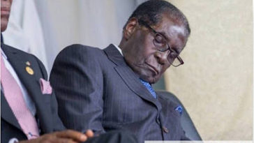 Sahara Reporters Is Harassing Zimbabwean President Mugabe Again - Releases A Photo Of Him Sleeping At Buhari's Inauguration 3