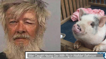 Man Caught Having Sex With Pig In WalMart Bathroom [PHOTO] 2
