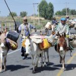 Fulani Herdsmen Rape 15 Year Old Girl To Coma In Benue Community 13