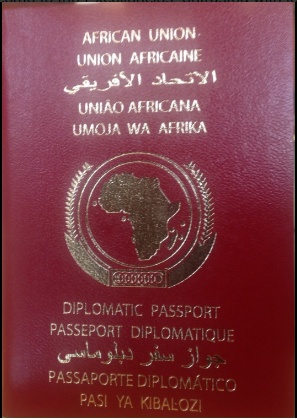 See The New AFRICAN UNION Passport To Be Used By AFRICANS When All 54 Countries Becomes Visa Free 15