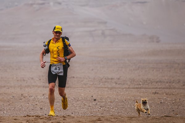 Extreme Marathon Runner Adopts Stray Dog That Ran with Him through Gobi Desert 1