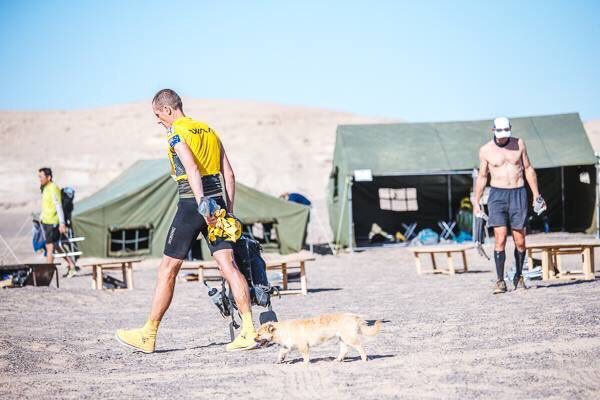 Extreme Marathon Runner Adopts Stray Dog That Ran with Him through Gobi Desert 6
