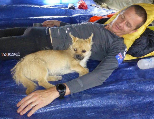 Extreme Marathon Runner Adopts Stray Dog That Ran with Him through Gobi Desert 2