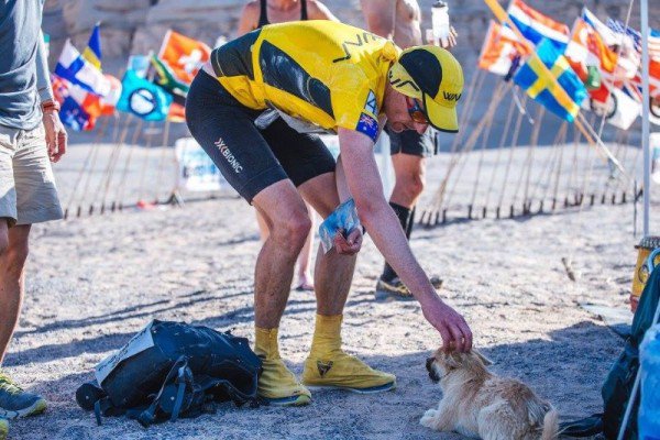 Extreme Marathon Runner Adopts Stray Dog That Ran with Him through Gobi Desert 4