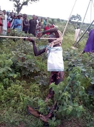 Man Electrocuted To Death While Trying To Steal Electric Cables [PHOTOS] 3