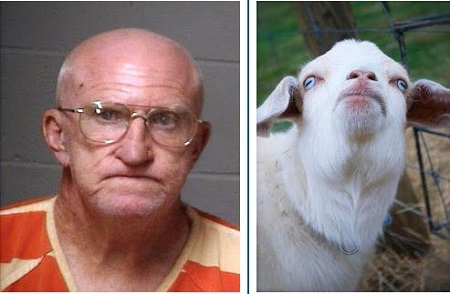 65-year-old Man Caught Having Sex With His Goat in Broad Daylight (Photo) 1