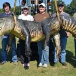 Checkout this massive Alligator Caught In America [PHOTOS] 11