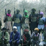21 Boko Haram Collaborators Sabotaging Military Action in Borno State Arrested 8