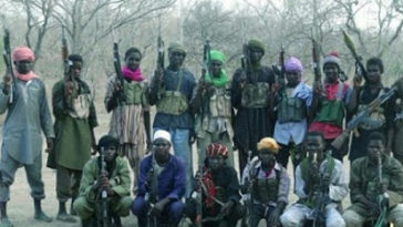 21 Boko Haram Collaborators Sabotaging Military Action in Borno State Arrested 3