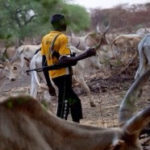 Mob Attack And Burn 14 Fulani Herdsmen Alive In Kaduna 12