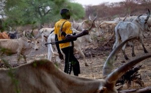 Mob Attack And Burn 14 Fulani Herdsmen Alive In Kaduna 1