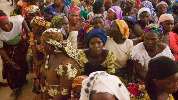FG Plans To Stop Nigerian Women From Giving Birth To Many Children To Sustain Buhari's Plan 1
