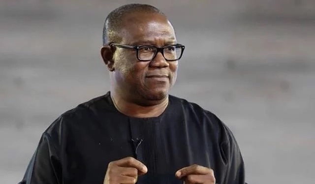 "INEC Must Provide Server Used To Conduct 2019 Elections" – Peter Obi Insists 1
